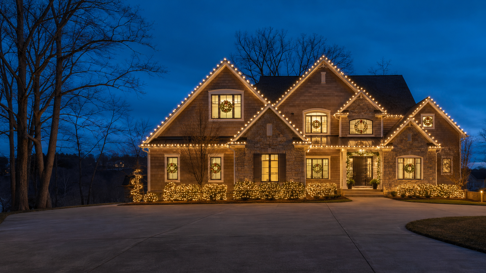 Professional Christmas lighting design 1